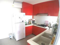 Blk 209B Compassvale Lane (Sengkang), HDB 4 Rooms #129260702